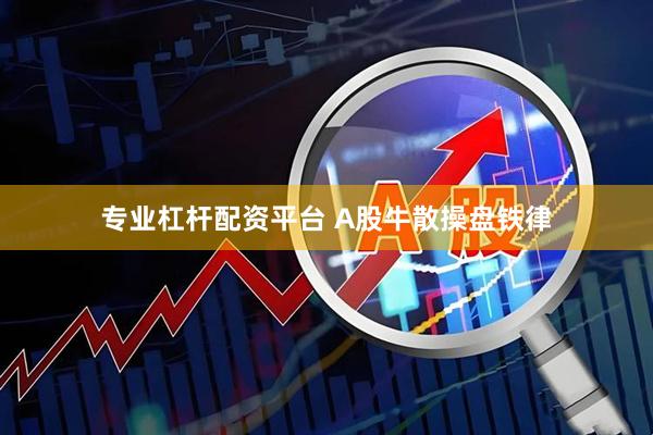 专业杠杆配资平台 A股牛散操盘铁律