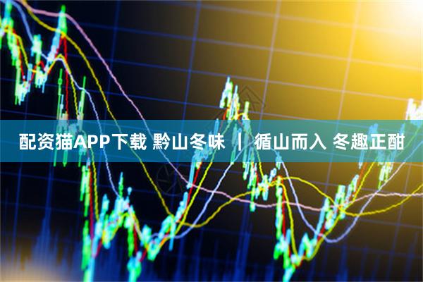 配资猫APP下载 黔山冬味 ｜ 循山而入 冬趣正酣